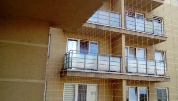 Сетки и шипы от голубей – насколько они действенны?